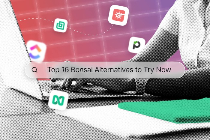 Top 16 Bonsai Alternatives to Try Now