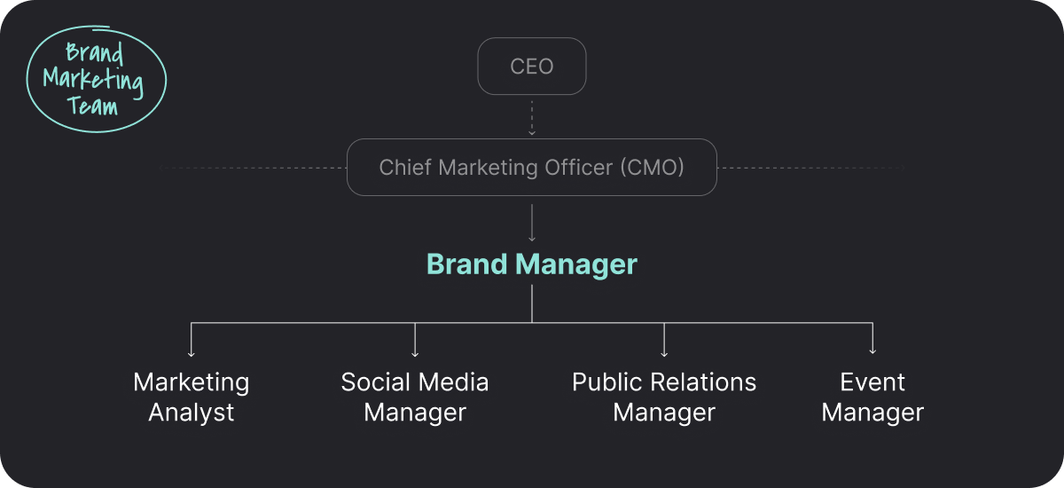 Illustration showing the structure of brand marketing team. 